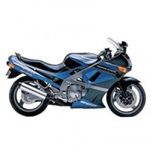 Shop 1998-2003 Kawasaki ZZR600 Fairings