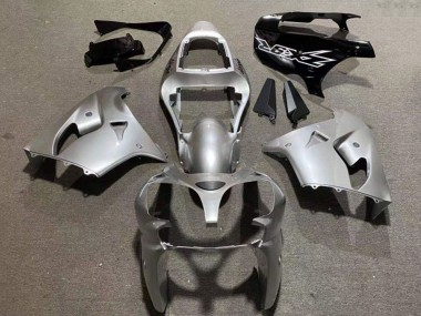 Shop 2002-2003 Kawasaki ZX9R Motorcycle Fairings - Silver Glossy Black