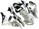 2019-2025 Kawasaki ZX25R ZX-25R Motorcycle Fairings - White Silver Green Black Trick Star