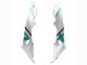 2017-2018 BMW S1000RR Motorcycle Fairings - White Green