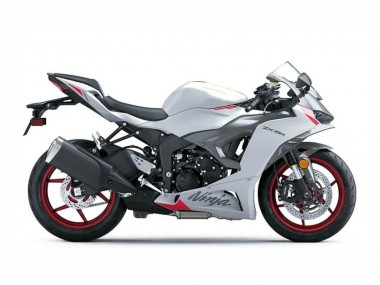 Shop 2023-2025 Kawasaki ZX6R Motorcycle Fairings - Pearl White Black Red