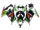 2013-2024 Kawasaki EX300 Motorcycle Fairings - Green White Red Black Elf