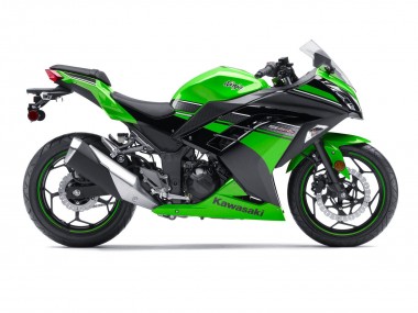 Shop 2013-2024 Kawasaki EX300 Motorcycle Fairing - Green Black