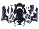 2003-2004 Honda CBR600RR Motorcycle Fairings - Silver Glossy Black