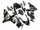 2004-2005 Kawasaki ZX10R Motorcycle Fairings - Glossy Black Ninja