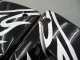 2004-2005 Kawasaki ZX10R Motorcycle Fairings - Black White