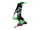 2008-2010 Kawasaki ZX10R Motorcycle Fairings - Green White Red Black Monster Elf 66