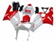 2003-2004 Kawasaki ZX6R Motorcycle Fairings - White Red