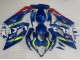 2005-2006 Suzuki GSXR 1000 Motorcycle Fairings - Blue Yellow Red Motul Ecstar