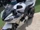 2003-2004 Yamaha YZF R6 Motorcycle Fairings - White Gold