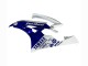 2006-2007 Yamaha YZF 600 R6 Motorcycle Fairings - White Blue Jordan