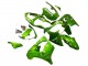 2000-2001 Kawasaki ZX9R Motorcycle Fairings - Green Flame