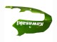 2000-2001 Kawasaki ZX9R Motorcycle Fairings - Green Flame