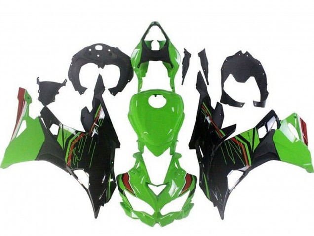 2019-2025 Kawasaki ZX4R ZX-4RR Motorcycle Fairings - Green Black Red