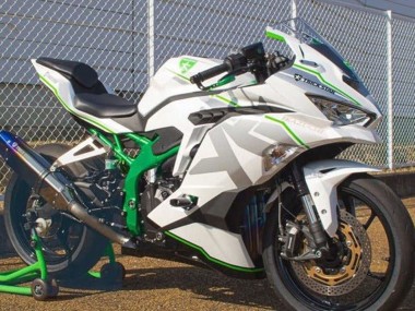 Shop 2019-2025 Kawasaki ZX4R ZX-4RR Motorcycle Fairings - White Silver Green