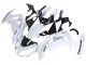2012-2016 Kawasaki EX650 Motorcycle Fairings - White Black
