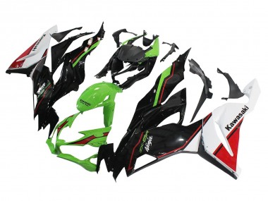 Shop 2019-2022 Kawasaki ZX6R Motorcycle Fairings - Green Glossy Black White Red